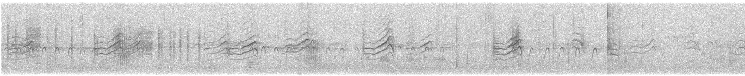 strdimil nilský - ML647567070