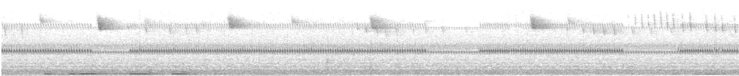 výr virginský - ML647567116