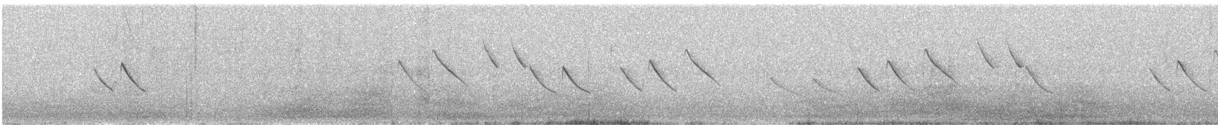 zvonohlík arabský - ML647567117