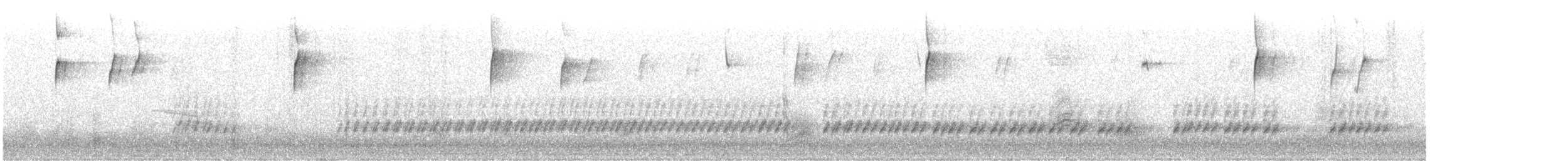 střízlík karolínský - ML647567528