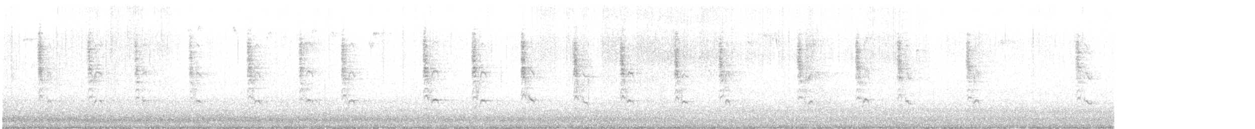 králíček americký - ML647567597