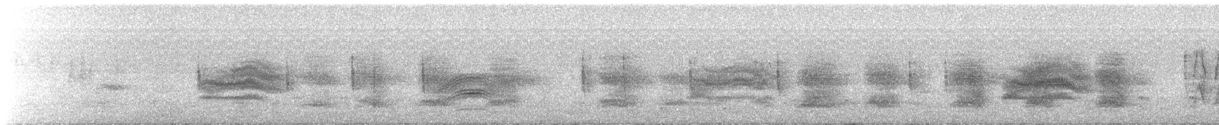 Spotted Towhee - ML647567642