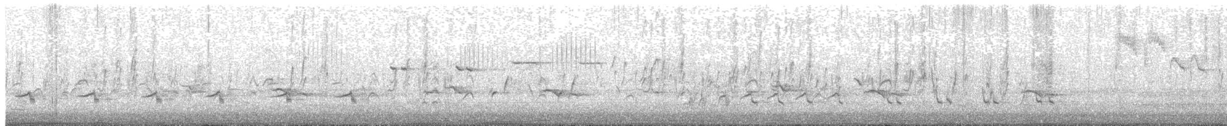 vlaštovka obecná (ssp. rustica) - ML647567734
