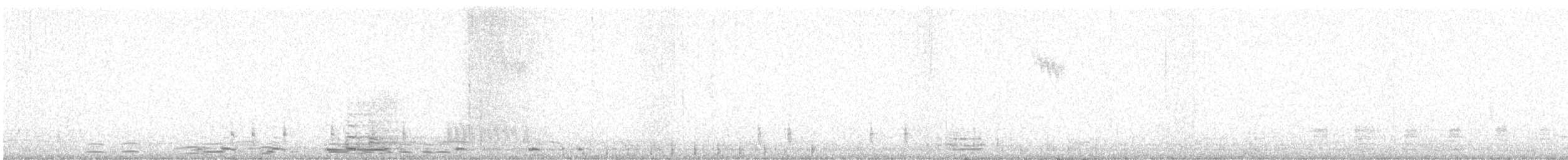 オオハクチョウ - ML647568967