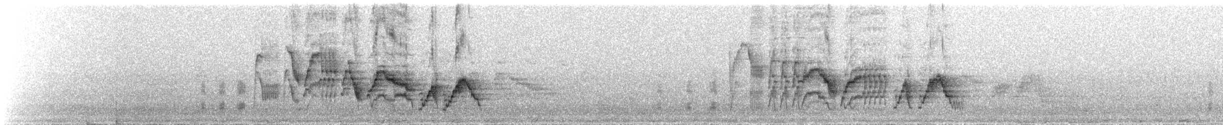 Gray-cheeked Thrush - ML647570315