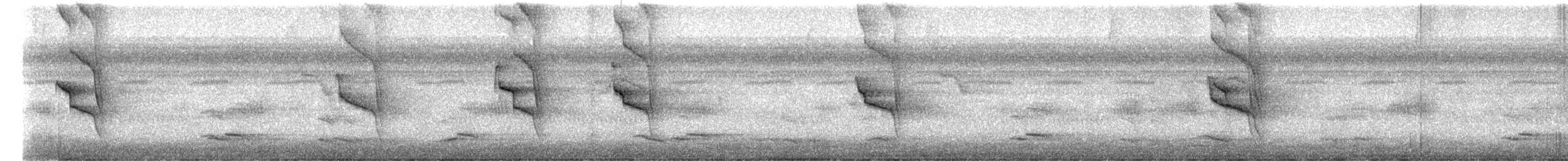 Social Flycatcher - ML647570344