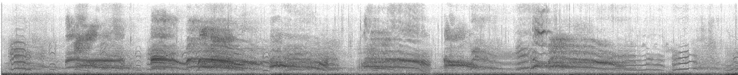 Silver Gull - ML647570389