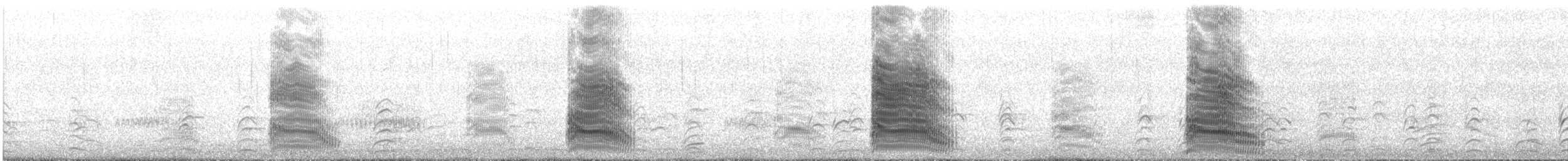 Silver Gull - ML647570391