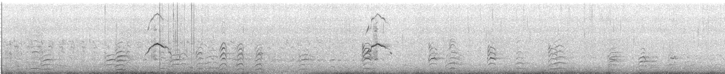 Caspian Tern - ML647570396