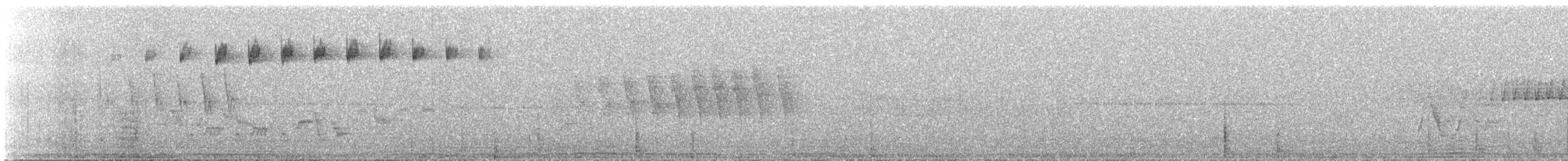 Blackpoll Warbler - ML647570787