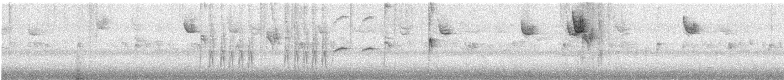 White-throated Sparrow - ML647570873