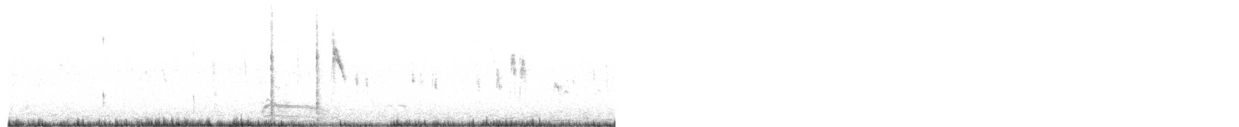 bergeronette sp. - ML647571096