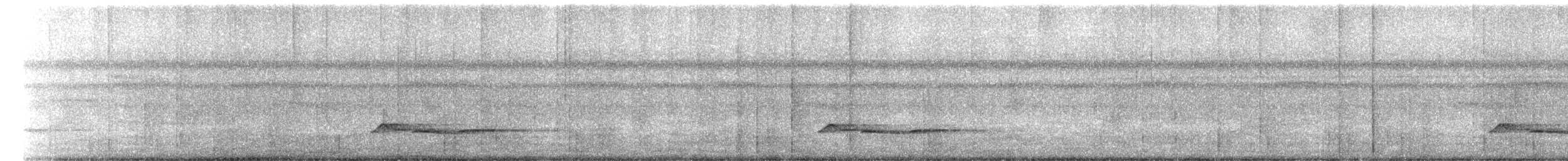 White-breasted Wood-Wren - ML647571158