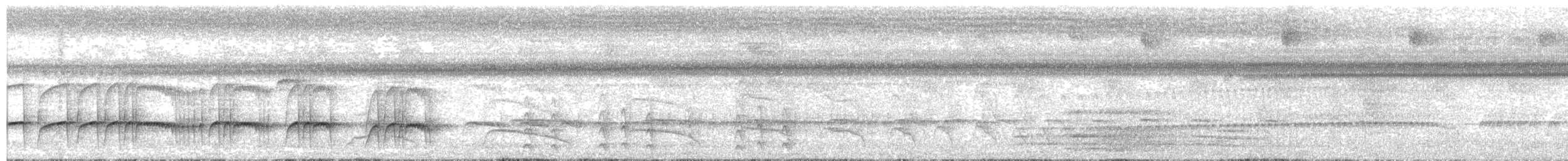 Rufous-tailed Jacamar - ML647571790