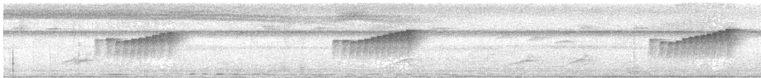 Northern Plain-Xenops - ML647571946