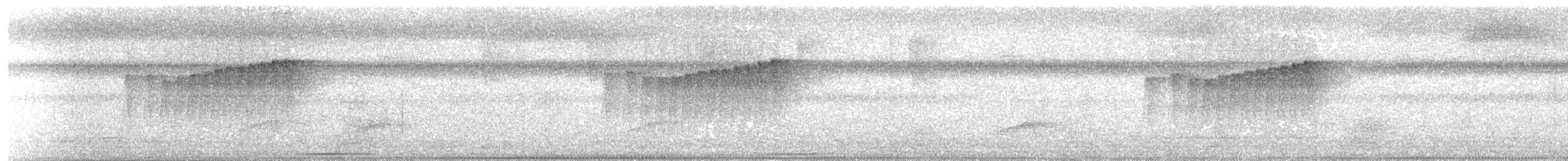 Northern Plain-Xenops - ML647571967