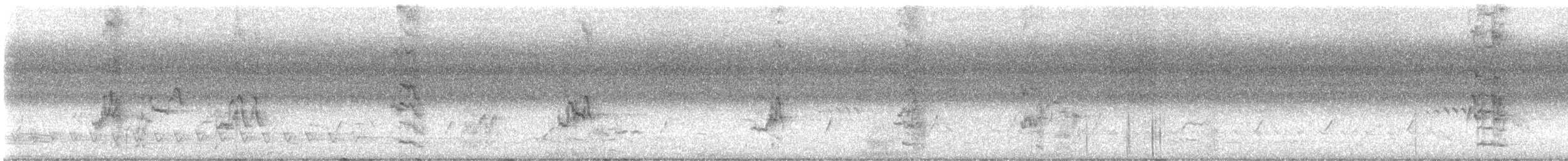 Scaly-breasted Lorikeet - ML647572571