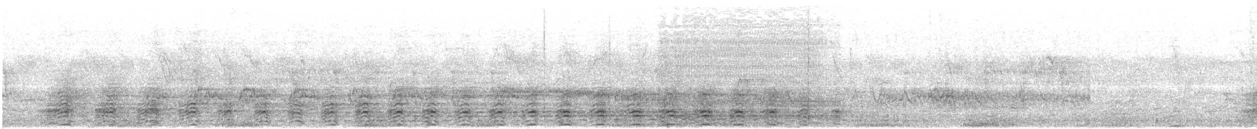 Black-and-white-casqued Hornbill - ML647574003