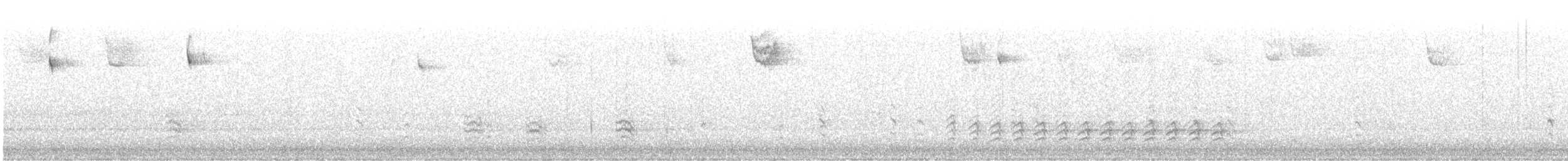 Sittelle à poitrine blanche - ML647574564