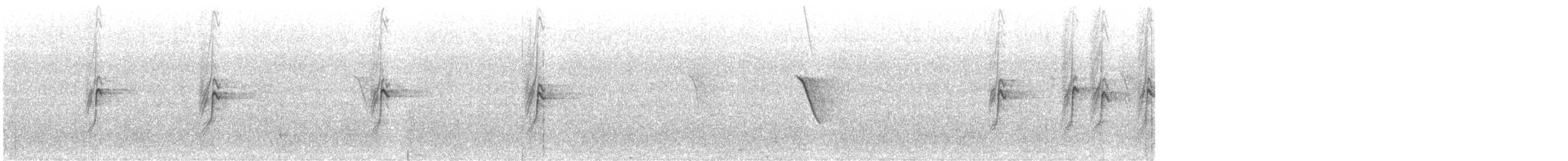 Buztanikara pinto afrikarra - ML647574618