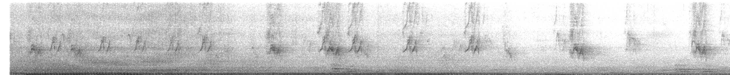 House Sparrow - ML647574815