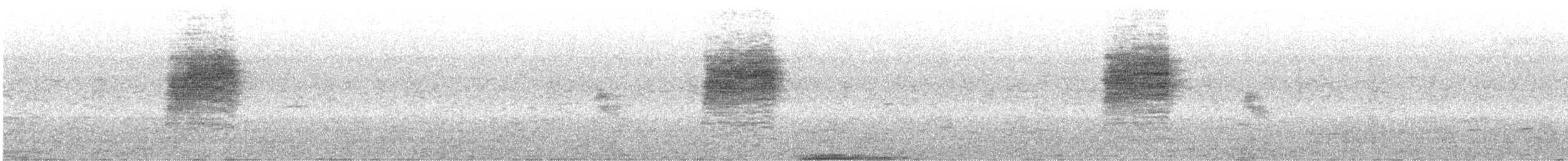 Southern House Wren - ML647575060