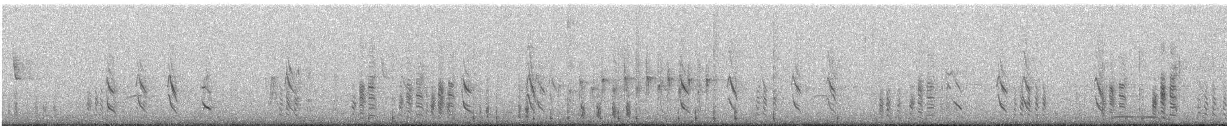 Austral Blackbird - ML647578173