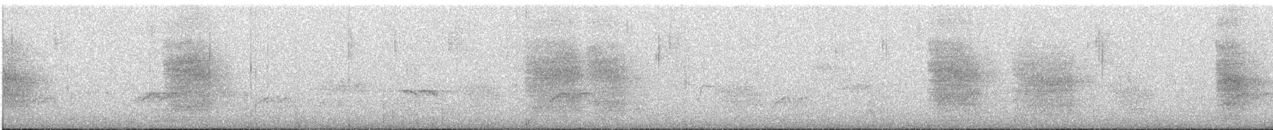 Southern House Wren - ML647578193