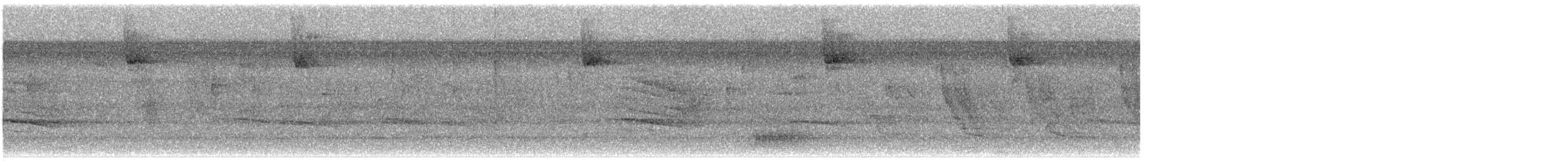 Chipping Sparrow - ML647578654