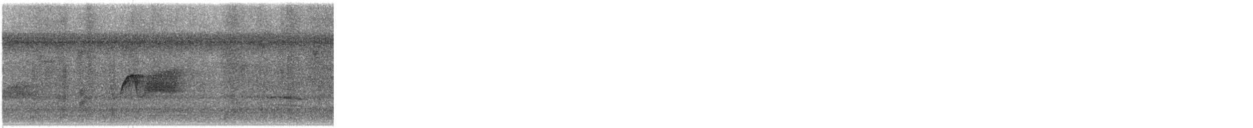 פיבי מזרחית - ML647578954