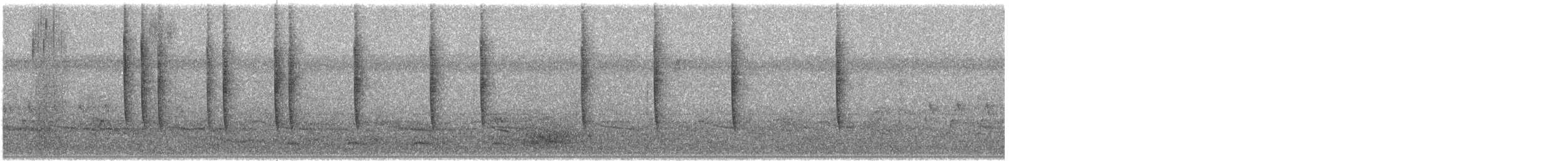 Rufous Hummingbird - ML647579093