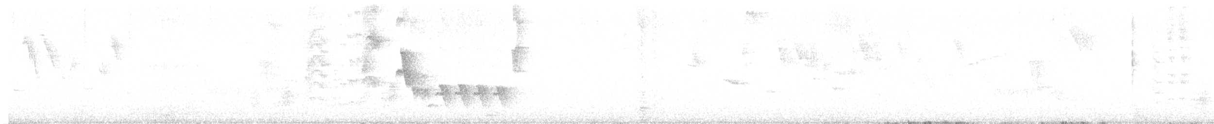 Southern House Wren - ML647579294