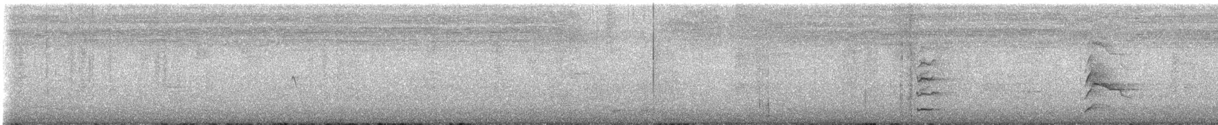 クーパーハイタカ - ML647579342