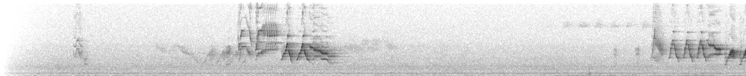 Grive à joues grises - ML647579485