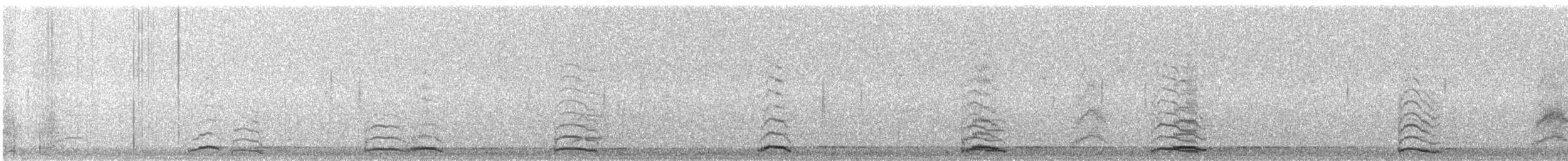 Tundra Swan (Whistling) - ML647579486