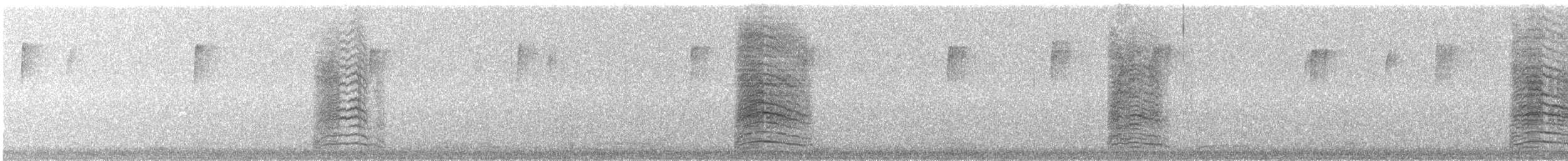 drozdec černohlavý - ML647579502