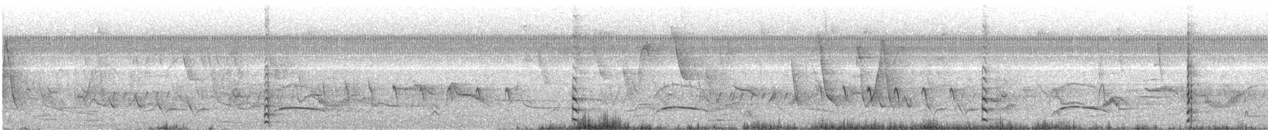 slípka americká - ML647580435