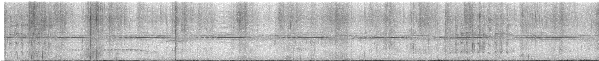 Black-capped Antwren - ML647581256