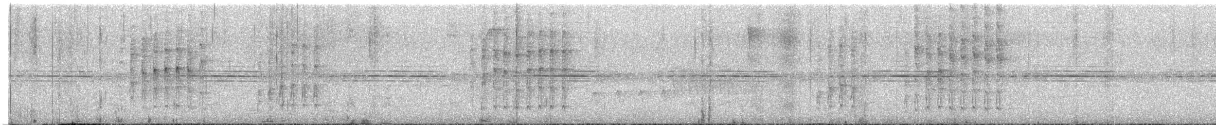 Black-capped Antwren - ML647581257