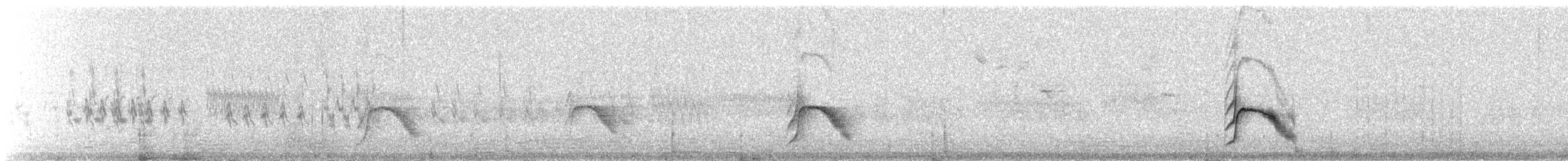 Gray-cheeked Thrush - ML647581924