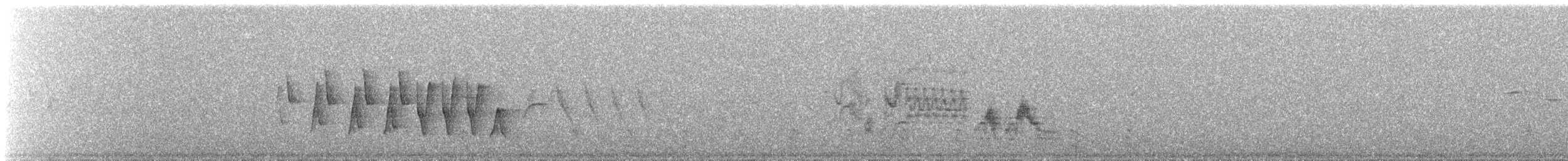 Northern Waterthrush - ML647582200