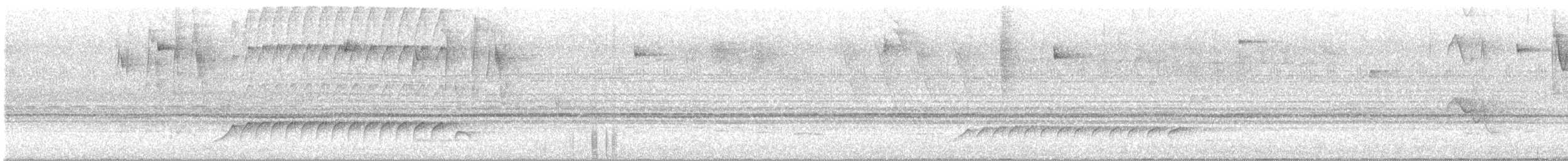 Gray-hooded Attila - ML647582235