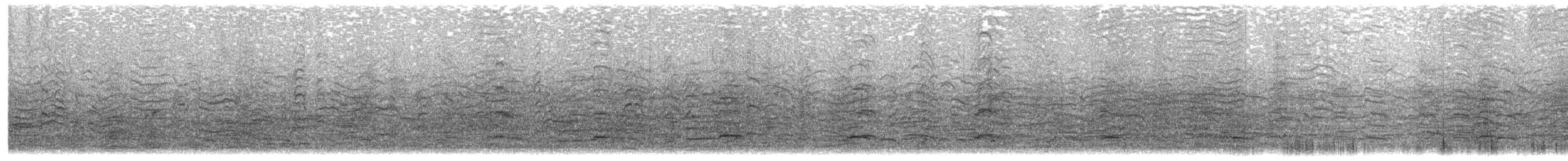 Black-legged Kittiwake - ML647582262