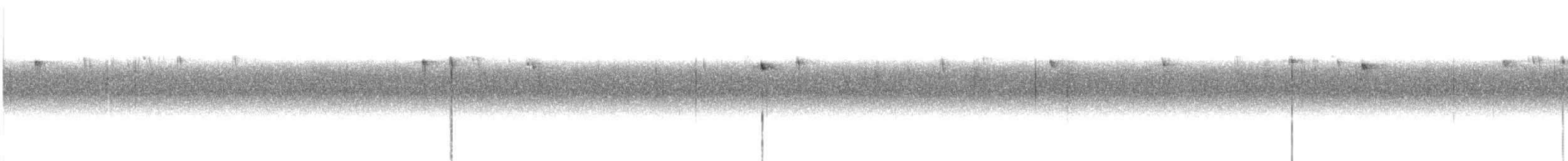 Erregetxo amerikarra - ML647582538