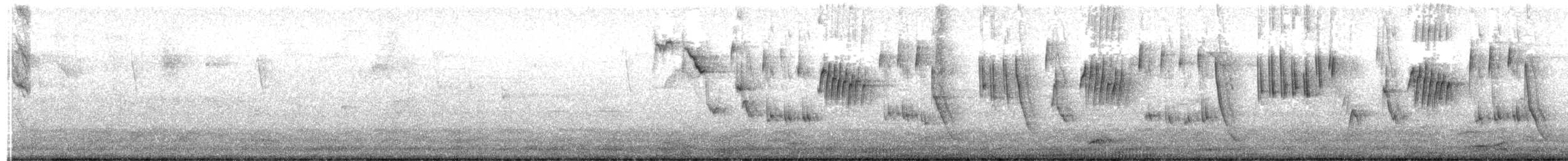 Shiny Cowbird - ML647582553