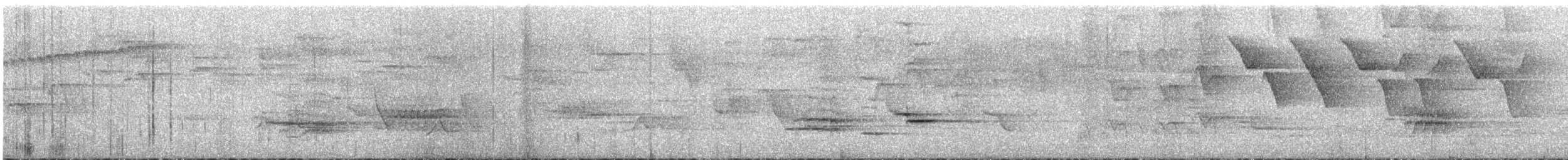 Speckled Nightingale-Thrush - ML647582727