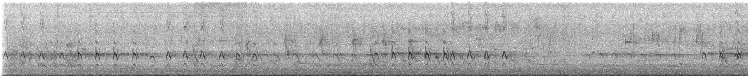 Sacred Kingfisher - ML647582847