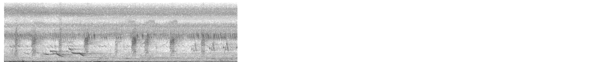 Philippinenfächerschwanz - ML647583050