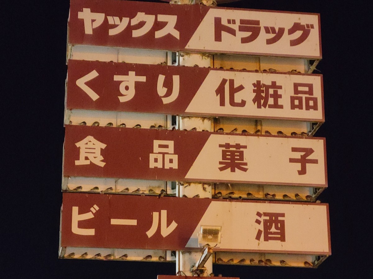 白鶺鴒 - ML647583126