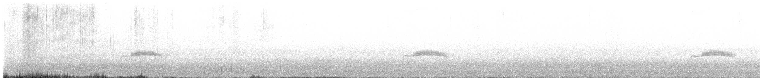 Western Wood-Pewee - ML647583281